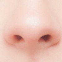 なぜ鼻毛は長くなる 鼻毛が伸びる原因と対策 鼻毛にまつわるエトセトラ サボテンノーズワックス